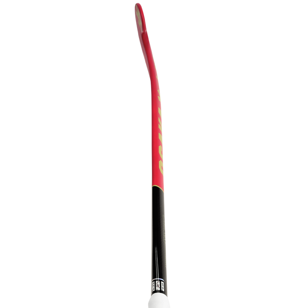 Indoor Pro Bow 10 (2025)